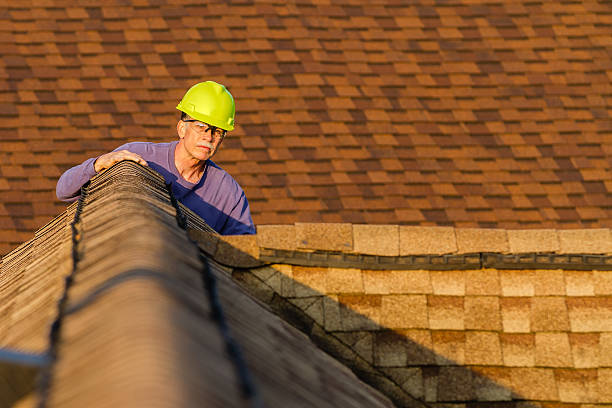 Best Roof Gutter Cleaning  in Sloatsburg, NY